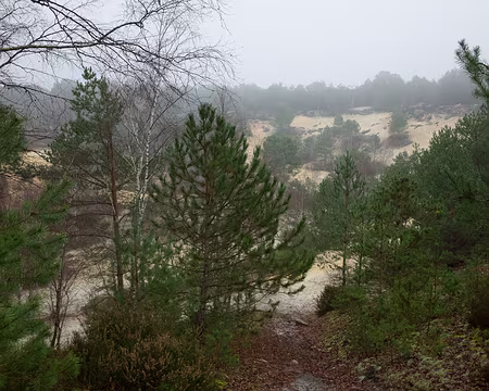 2017_12_20_13-17-58 Une autre mer de sable !