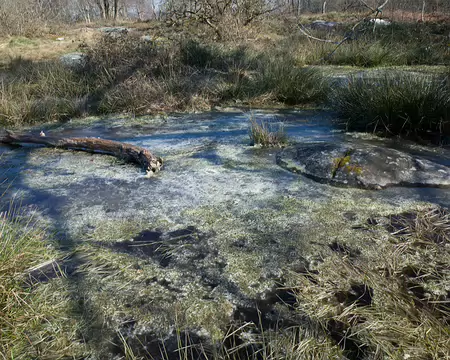 2018_02_26-11_54_26 Platières des Grands-Avaux