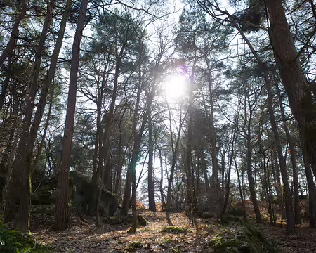 2018_02_26-14_00_44 La Padôle