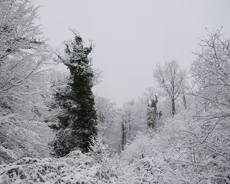2018_02_07-10_52_16 Entrée dans le vif du sujet : c'est bien notre sentier !