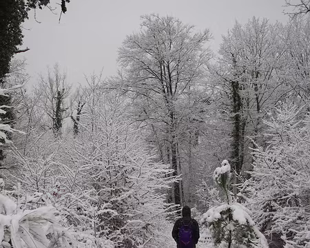 2018_02_07-10_53_01 Participant courageux