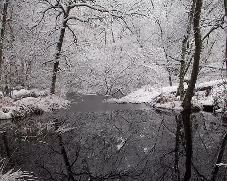 2018_02_07-11_19_23 Mare Marcou