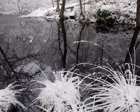 2018_02_07-11_19_31 Mare Marcou