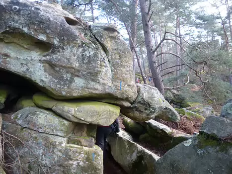 2018-02 Fontainebleau avec Alfred