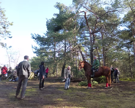 P1060709 Le cheval Castor et son cavalier sont venus nous saluer