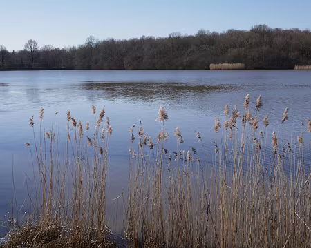 Lac de la Tour L’Étang de la Tour