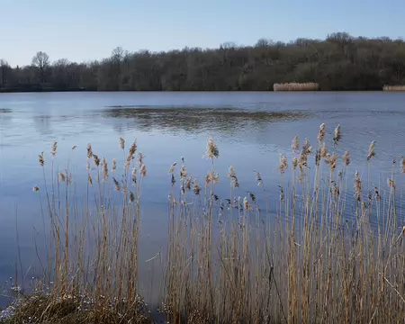 Lac de la Tour L’Étang de la Tour