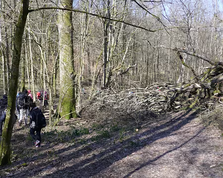 34 Attention, chute d’arbres ! On contourne