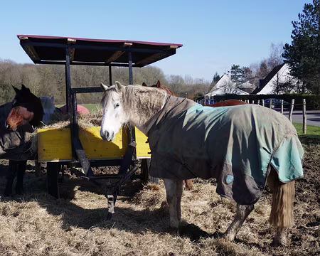 37 qu’est-ce qu’il me veut celui-là ?