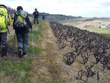 Marilu Marilu T, détail sortie