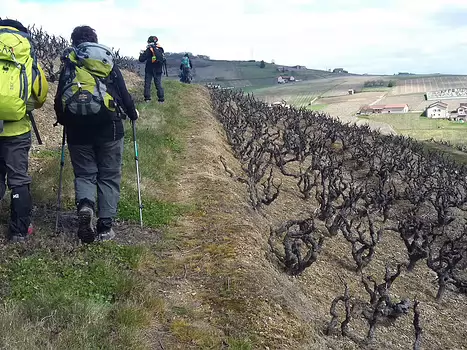 Marilu Marilu T, détail sortie