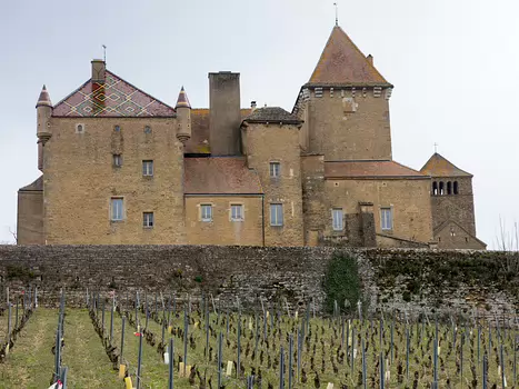 Xavier Xavier L, détail sortie