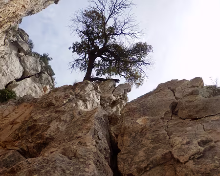 P4020346 Cheminée du Diable