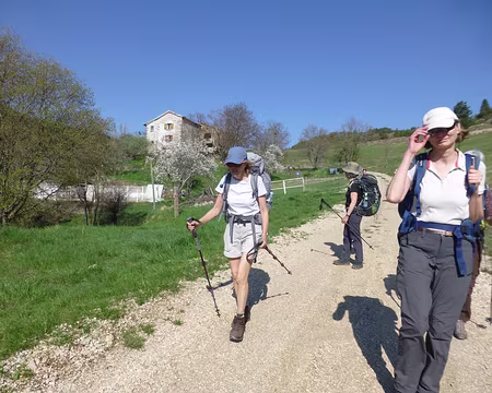 P1250784 Soleil radieux, voire plus
