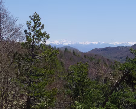 P1250794 Les alpes encore bien enneigées en cette fin avril