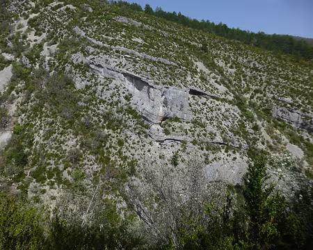 P1250848 'le Guépard