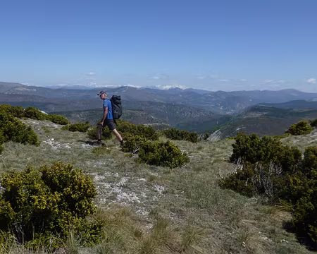 P1250879 Joël semble avoir survécu à sept femmes.