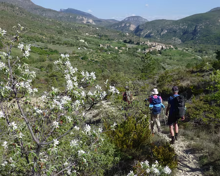 P1250891 Arrivée sur Villeperdrix parmi les amélanchiers