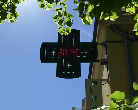 P1250977 Tous les après midi on a chaud pour marcher !