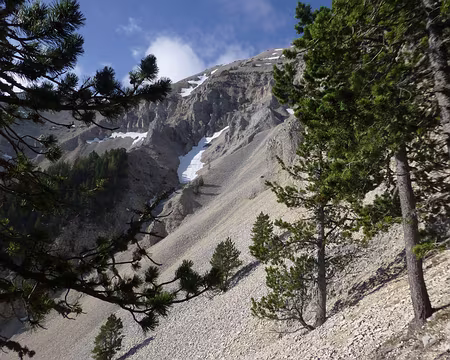 P1260024 Pentes nord du Mont Ventoux