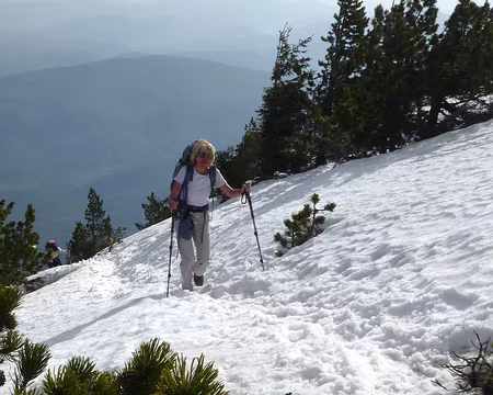 P1260030 Il reste un peu de neige mais elle a beaucoup fondu pendant la semaine