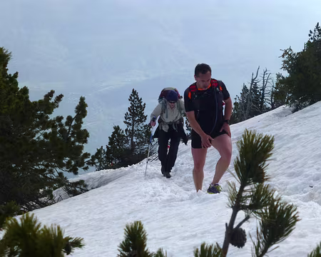 P1260032 Michèle a trouvé un lièvre