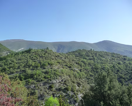 P1080798 Montagne d'Angèle, parcourue la veille