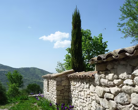P1080813 Iris en fleurs à Arpavon