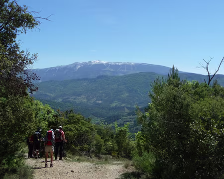 P1080826 Enfin au loin le Ventoux !!!