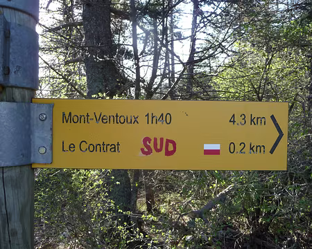 P1080838 à l'attaque !!!