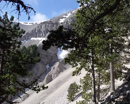 P1080839 sur les flancs du mont Ventoux