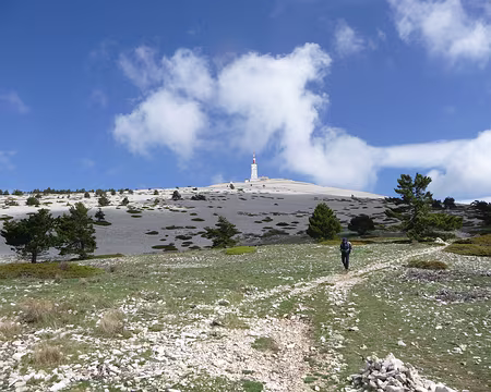 P1080847 Mont Ventoux côté sud