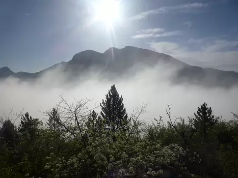 Bernadette Bernadette P, détail sortie