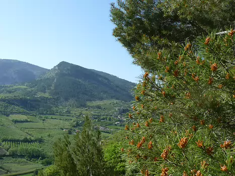 Laurence Laurence C, détail sortie