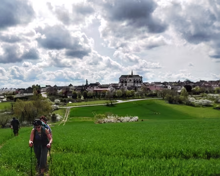 055 À travers les blés