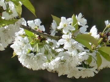Christian Christian D, détail sortie