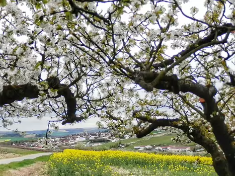 Hélène Hélène B, détail sortie