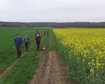 Entre Moigny-sur-École et Courances Entre Moigny-sur-École et Courances