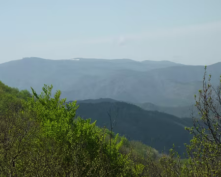 15 Un peu de neige sur l’Aigoual