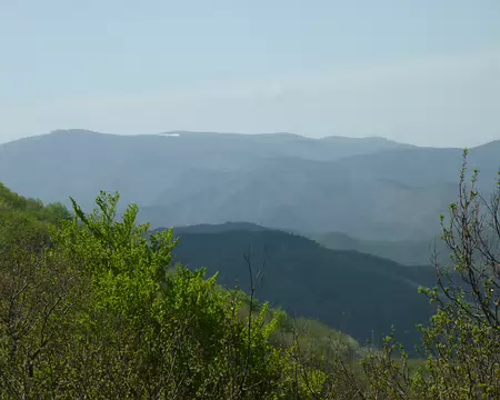 15 Un peu de neige sur l’Aigoual