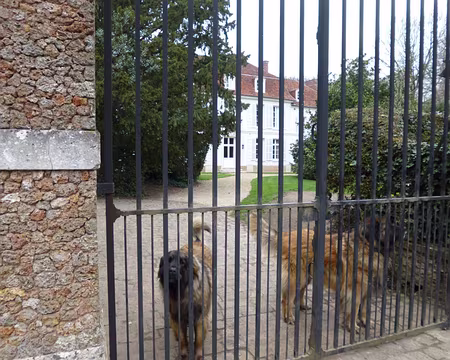 P1060944 ... de Méré, commune limitrophe...