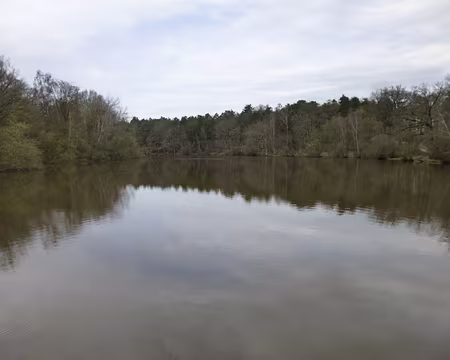 P1060974 Etang du Gruyer