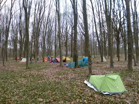 Dominique Dominique F, détail sortie