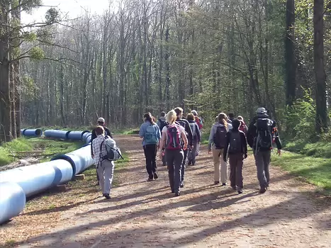 Olivier Olivier M, détail sortie