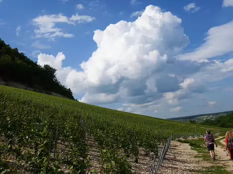 Pascale Pascale L, détail sortie