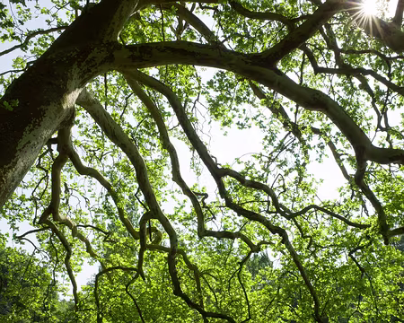 2018_05_19-17_11_48 Cénotaphe de JJ Rousseau