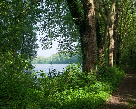 2018_05_20-10_11_15 Étangs de Chaalis