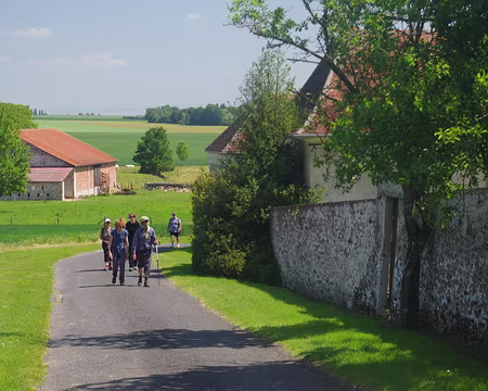 Le Château, butte de Doue Le Château, butte de Doue