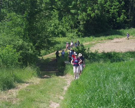 Ru des Avenelles Ru des Avenelles