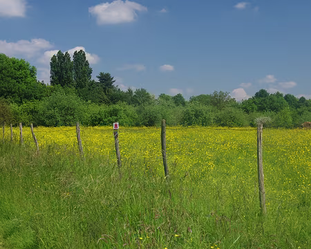 Sans doute près de Champbreton Sans doute près de Champbreton